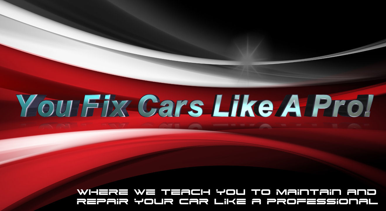 YOU FIX CARS LIKE A PRO